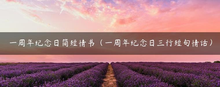 一週年紀念日簡短情書(一週年紀念日三行短句情話)