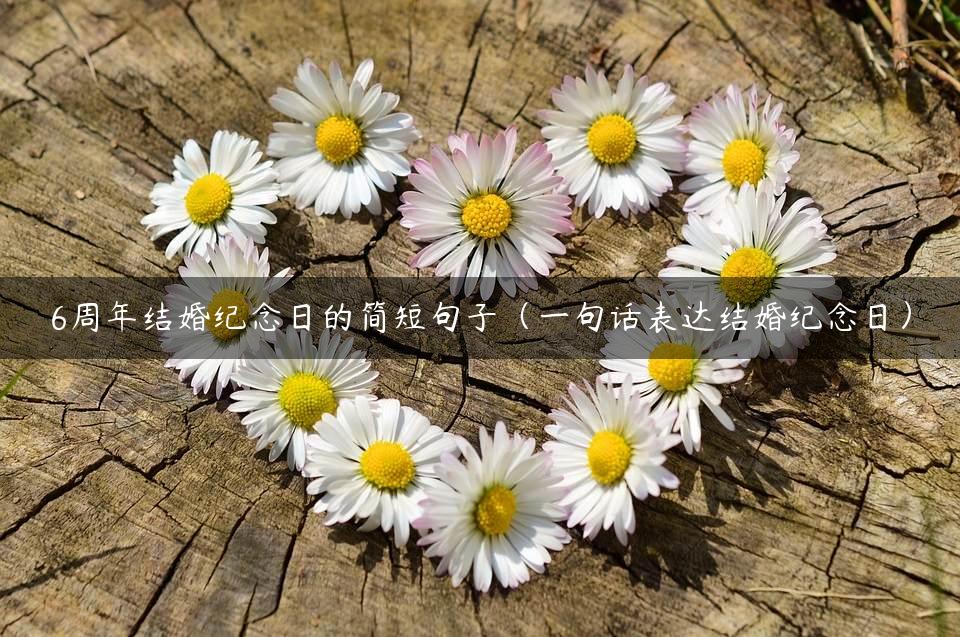 6周年结婚纪念日的简短句子（一句话表达结婚纪念日）