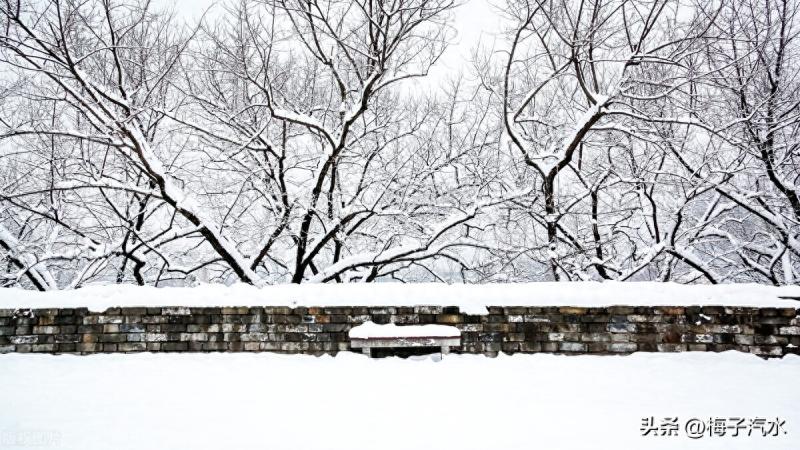 下雪文案高级感（下雪的浪漫短句唯美）