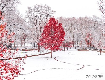 下雪发朋友圈的说说_下雪的文案短句